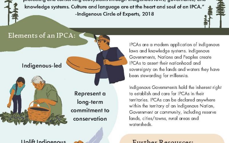IPCA-infosheet